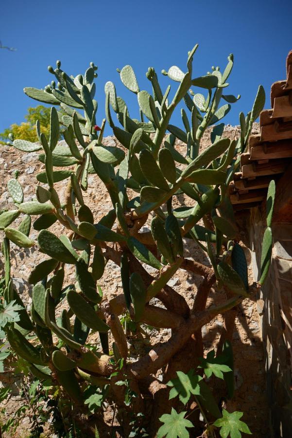 Jardin De Palme Leilighet La Palme Eksteriør bilde