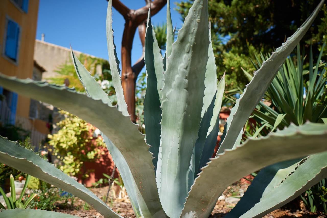 Jardin De Palme Leilighet La Palme Eksteriør bilde